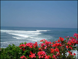 ������� ������ ����, ���������  (Bali)