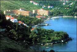 �������� ����� Albatros