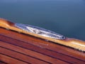Diva Locwind 44 sailing yacht