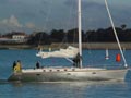 Diva 50 Scala �� Poncin Yachts