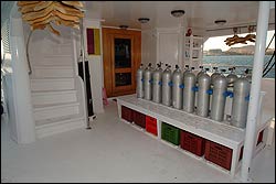 M/Y Discovery