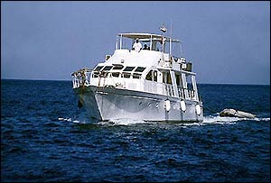 M/Y KING SNEFRO