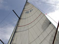 ����-����� �������� ���� Harmony 42. ������ ���� � ������, ���������� ����.