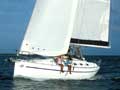 ������� ���� Harmony 38