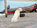 Эль Тур, Египет. Лучшее место для виндсерфинга и кайтсерфинга