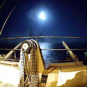 �������. � ����. 2005 ���.