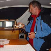 �������. � ����. 2005 ���.