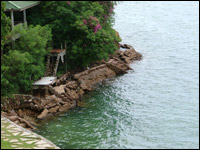 ����� Asia Pattaya (���� �������)