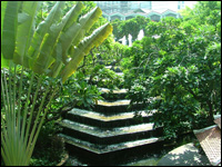 ����� ����� ����� (Dusit Thani)