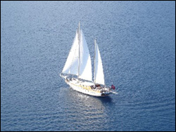 ����� �� �������-�������� ���� &laquo;AEGEAN SCHATZ &raquo;