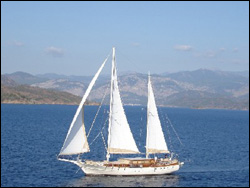 ����� �� �������-�������� ���� &laquo;AEGEAN SCHATZ &raquo;