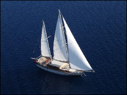 ����� �� �������-�������� ���� &laquo;AEGEAN SCHATZ &raquo;