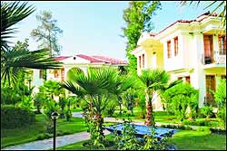 ������. ������ ����� MAJESTY TUANA