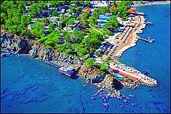 ������. ����� ����� CLUB PHASELIS