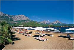 ������. ����� ����� CLUB PHASELIS