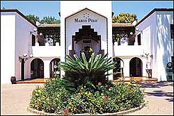 ������. ����� ����� CLUB TURTLES MARCO POLO